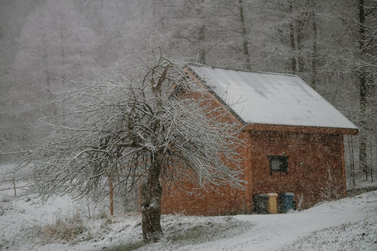 Osada Krasne - Noclegi Blisko Natury Bukowiec  Exterior foto